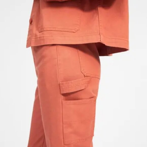 Everlane The Carpenter Pant in Spanish Clay - Picture 3 of 10